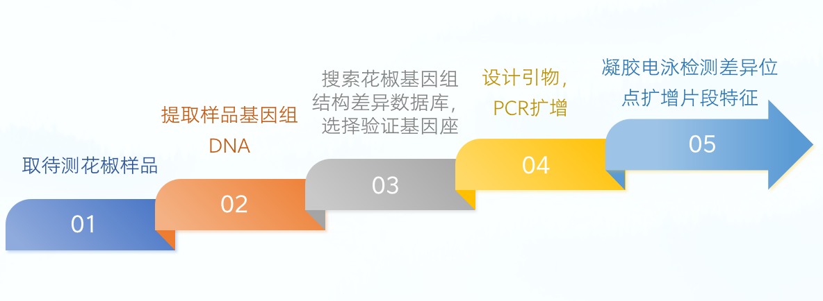 fa49b8d2-4f2a-4a5a-b267-235eae109092.png